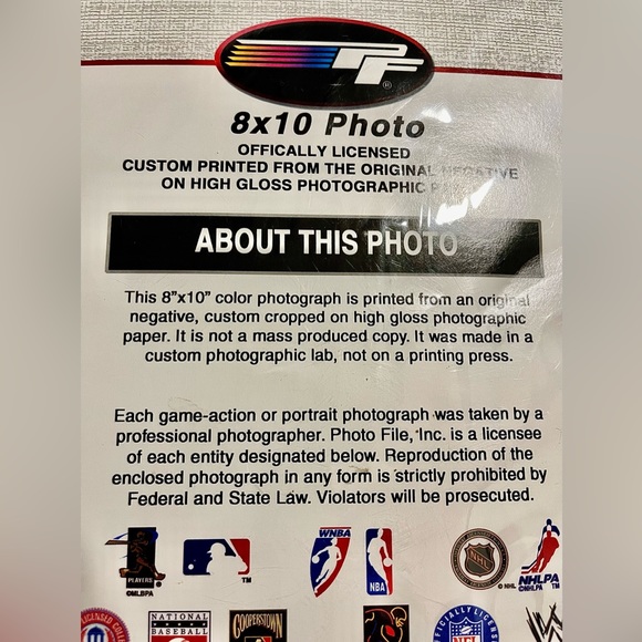 Boston Red Sox 2004 American League Champs Photo From Original Negative 8x10 - Picture 10 of 12